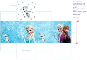 frozen-doosje